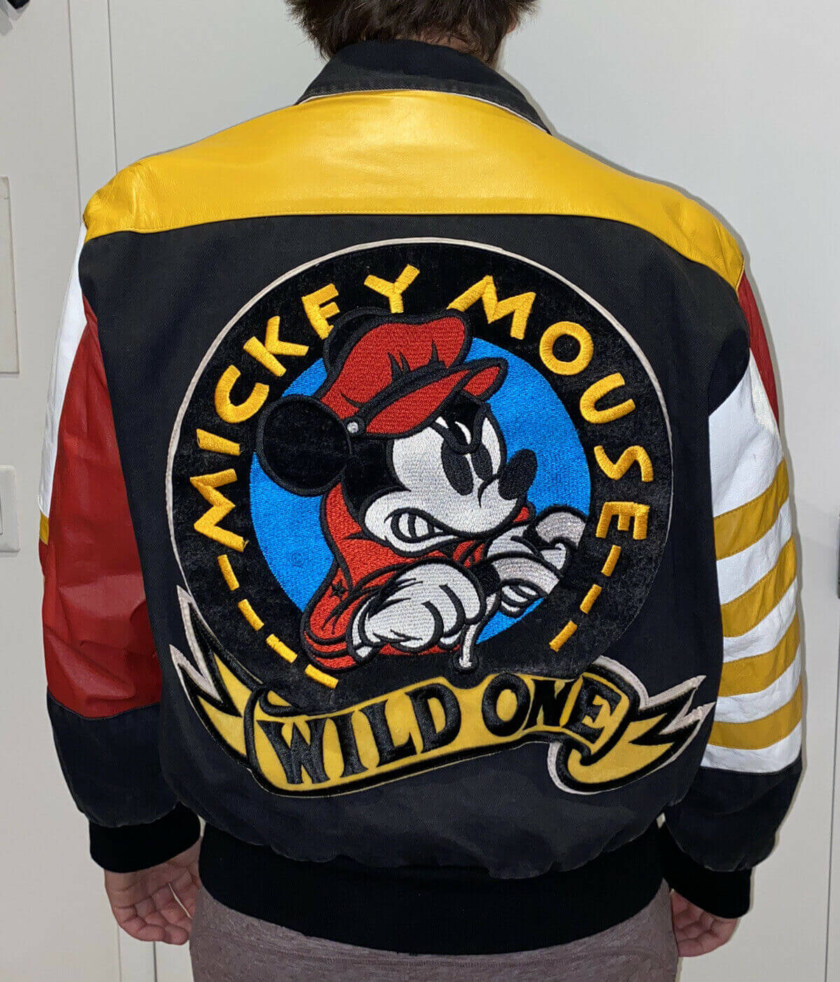 Mickey mouse wild 2025 one jacket