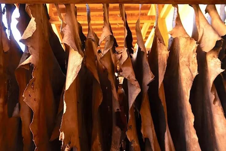 Goatskin-Leather-Best Leather For Jackets And Which Is Right For You?