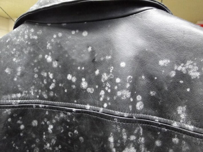 How To Remove Mold From Leather Jackets - Maker of Jacket